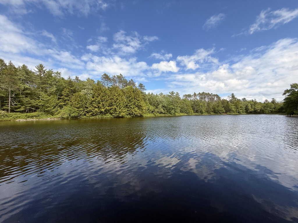 View of pond from dock