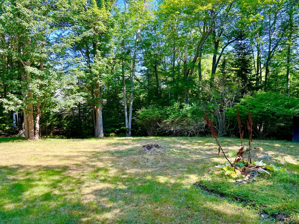 Land/Back Yard