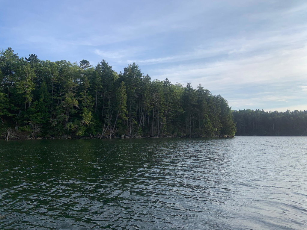 IMG_0286