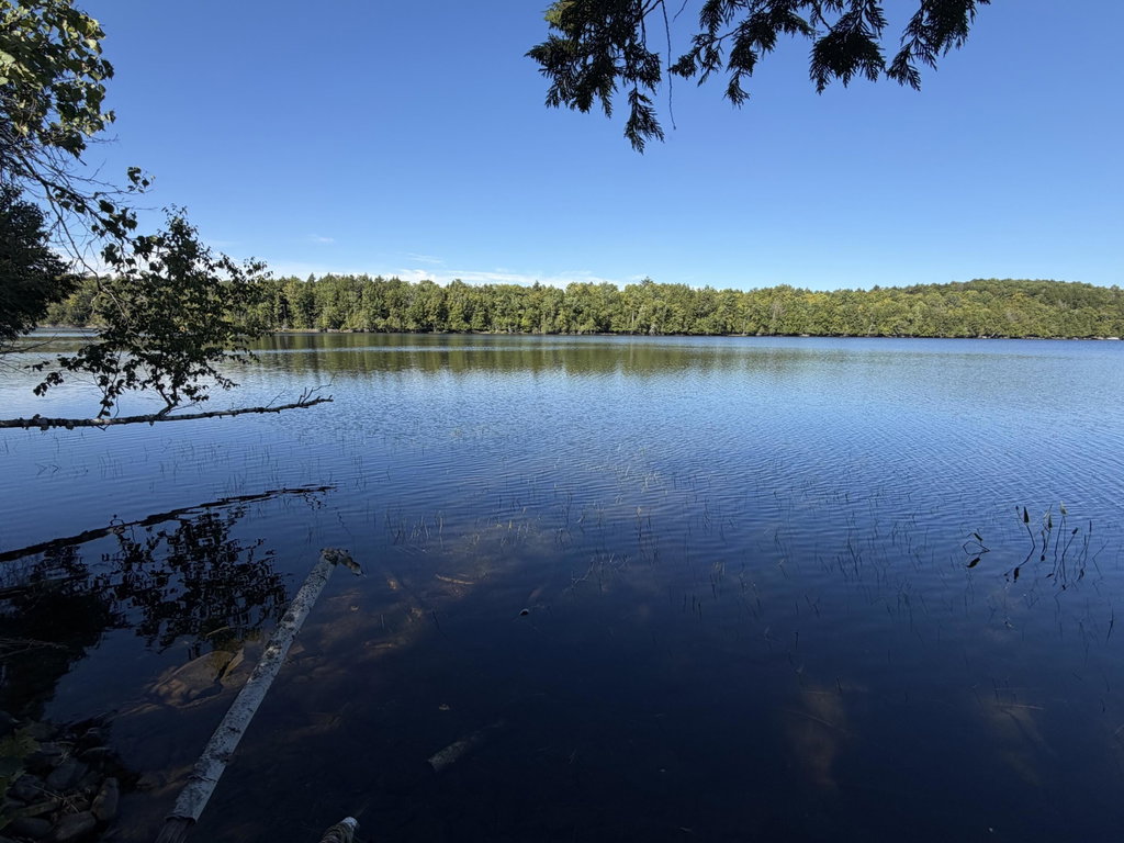 Map 9 Lot 6 Raspberry Lane Ripley