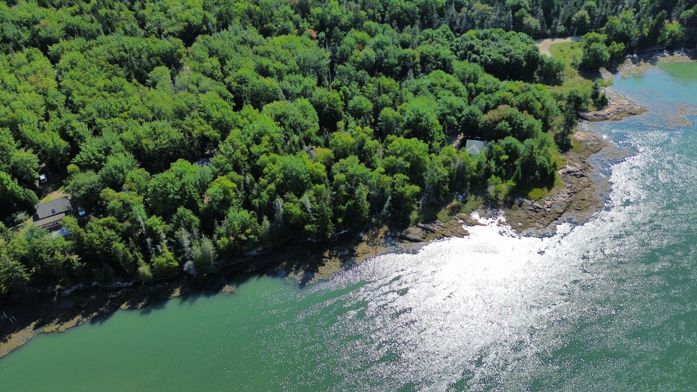 dji_fly_20260830_102704_96_1788099632054