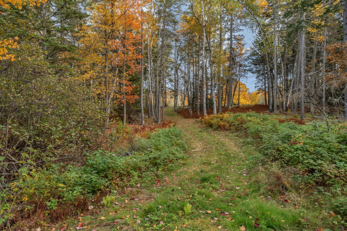 13-web-or-mls-495-north-deer-isle-land