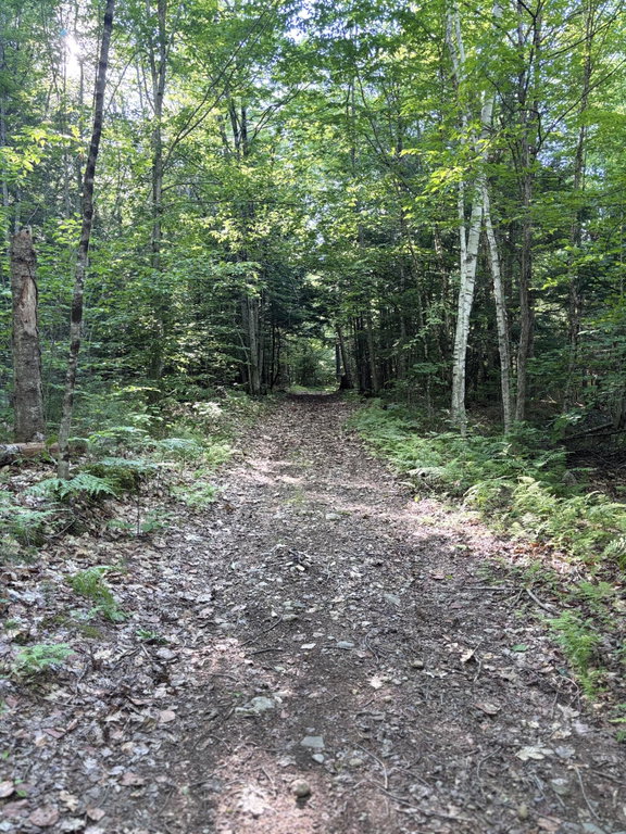 Lot #22 Streaked Mountain Road Buckfield