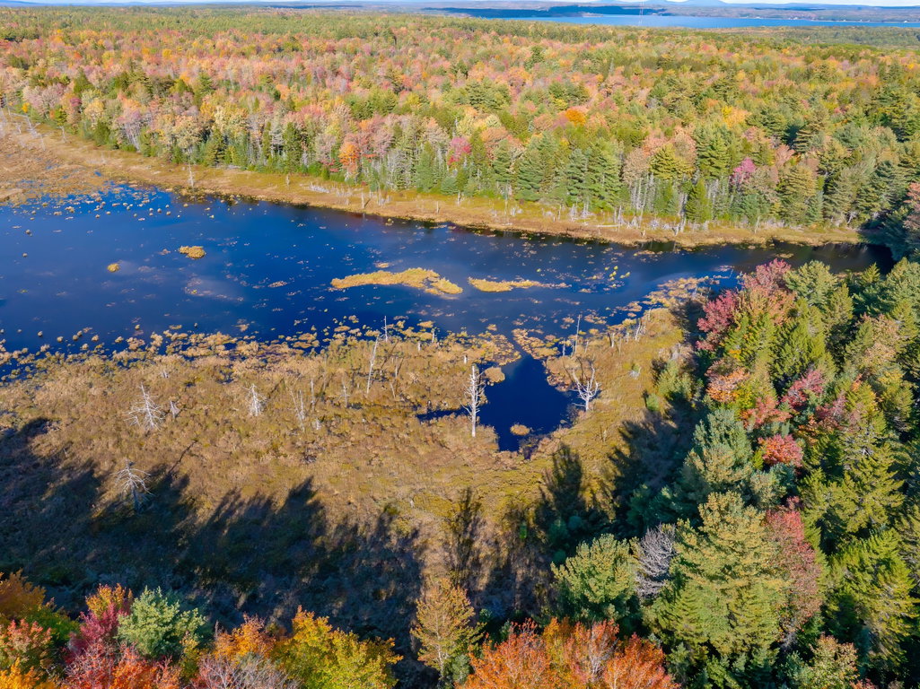 29-Bear Spring Lane Land-DTP