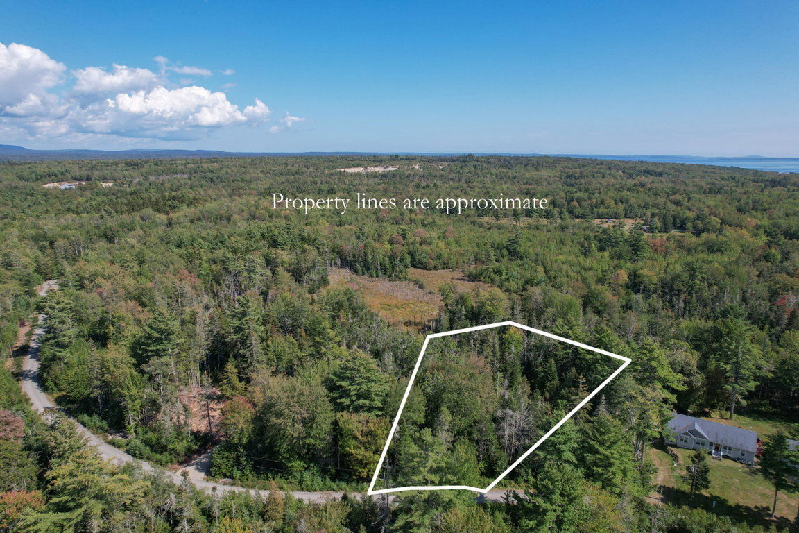 Property line 1