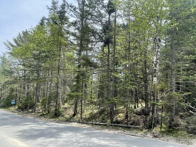 00 Reach Road Deer Isle