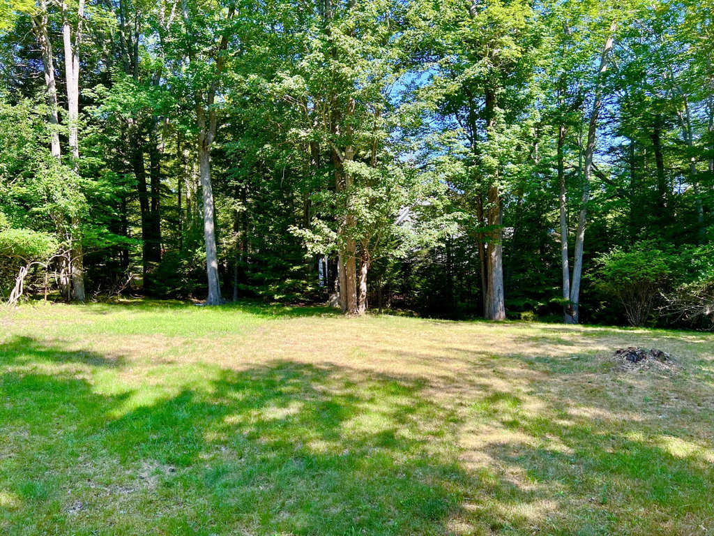Land/Back Yard