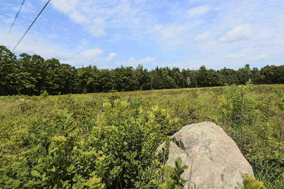 Lot 4