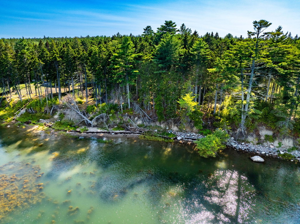 Shoreline