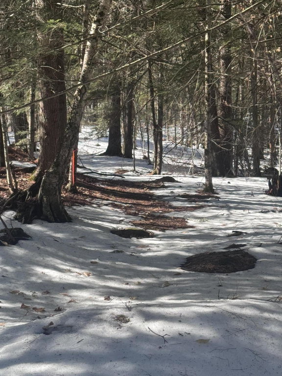 Lot #10 Goose Pond Road Windham