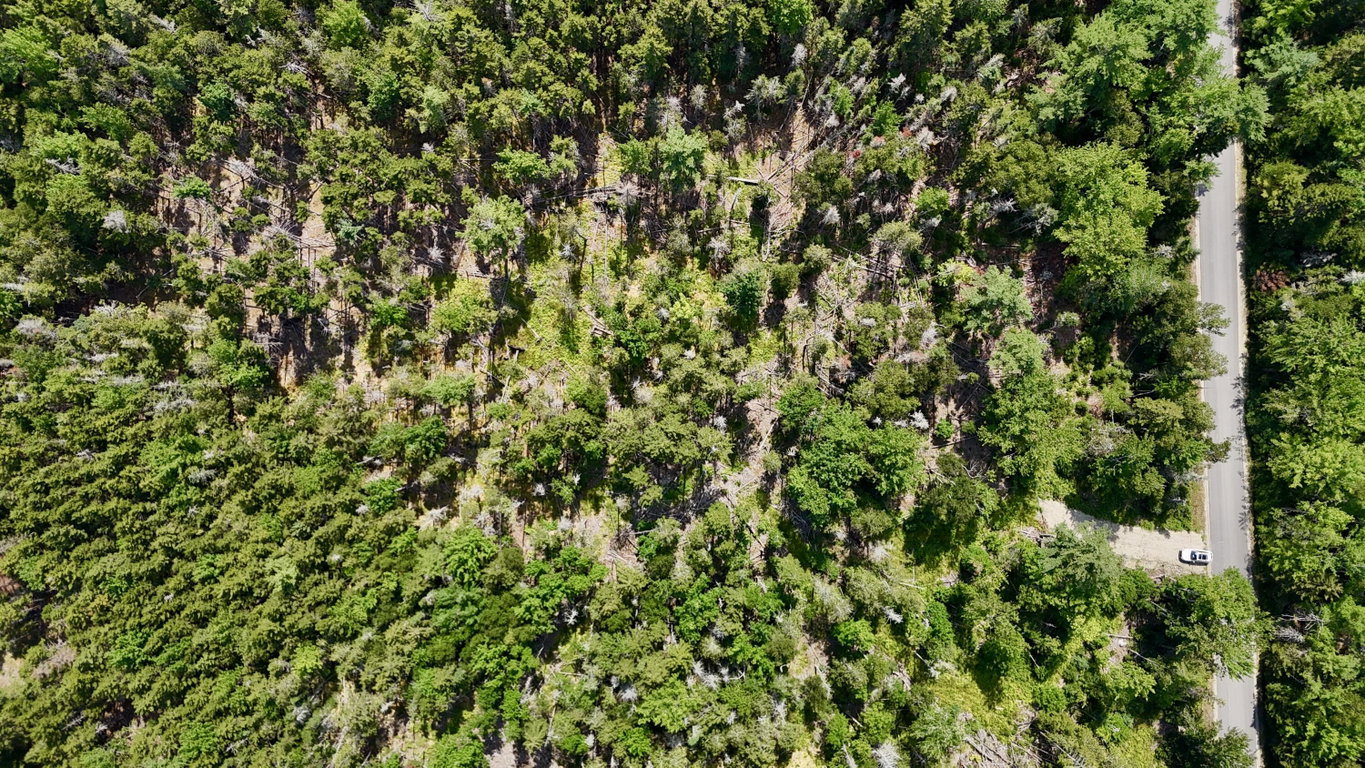 dji_fly_20260812_112444_0278_17865484519