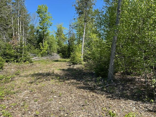Lot 2 Mt. Jefferson Heights Lee