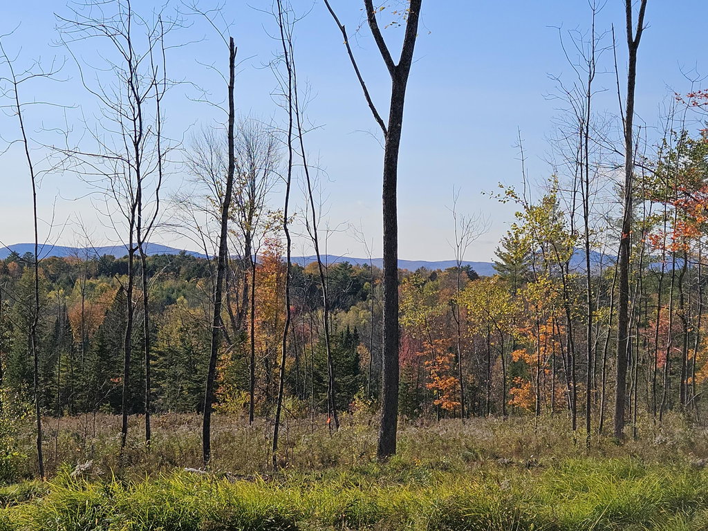R11-033-3 Bailey Hill Road Farmington