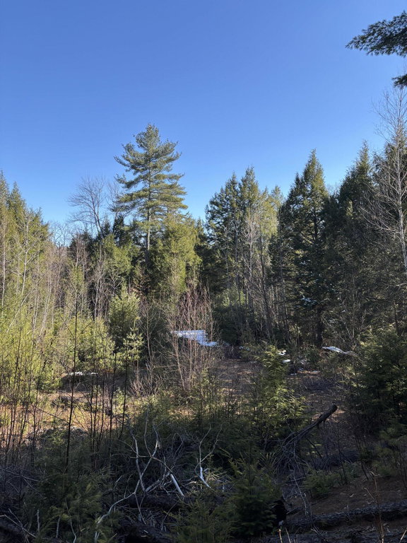 7 Bog Brook Loop West Paris