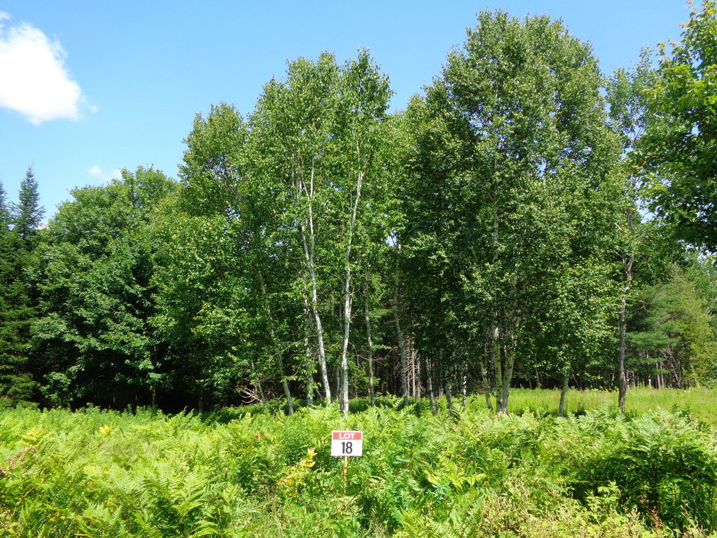 Lot 18 Bailey Mountain Road Franklin