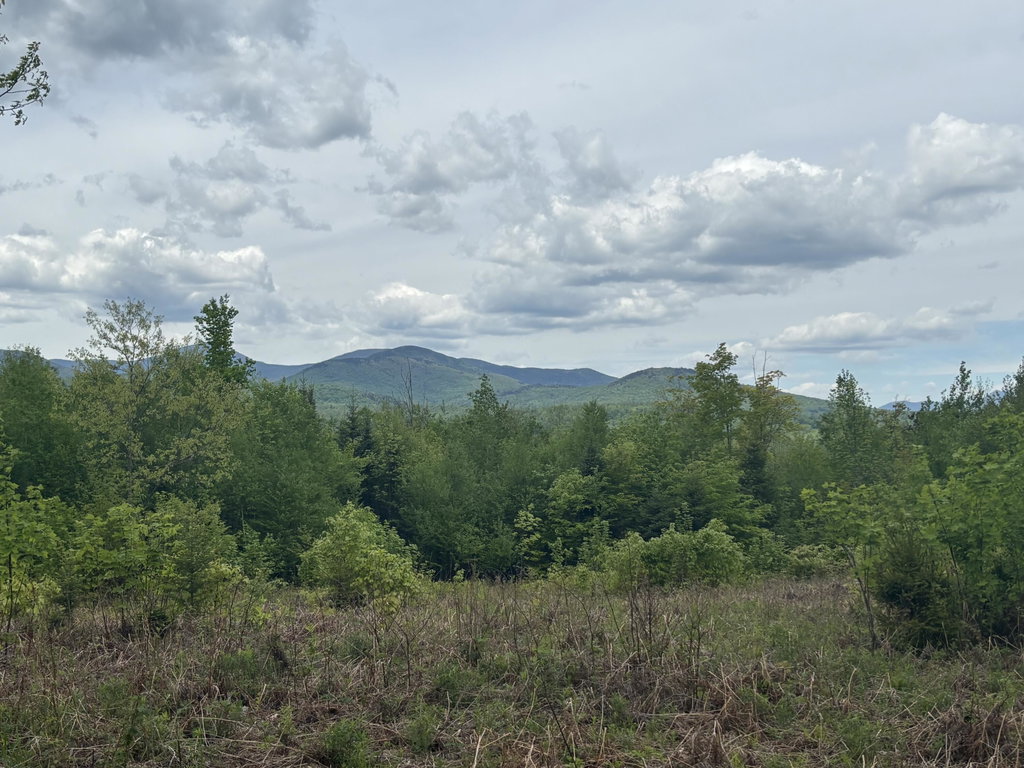 Lot #20 Hollis Drive (Eagle Ridge) Road Kingfield