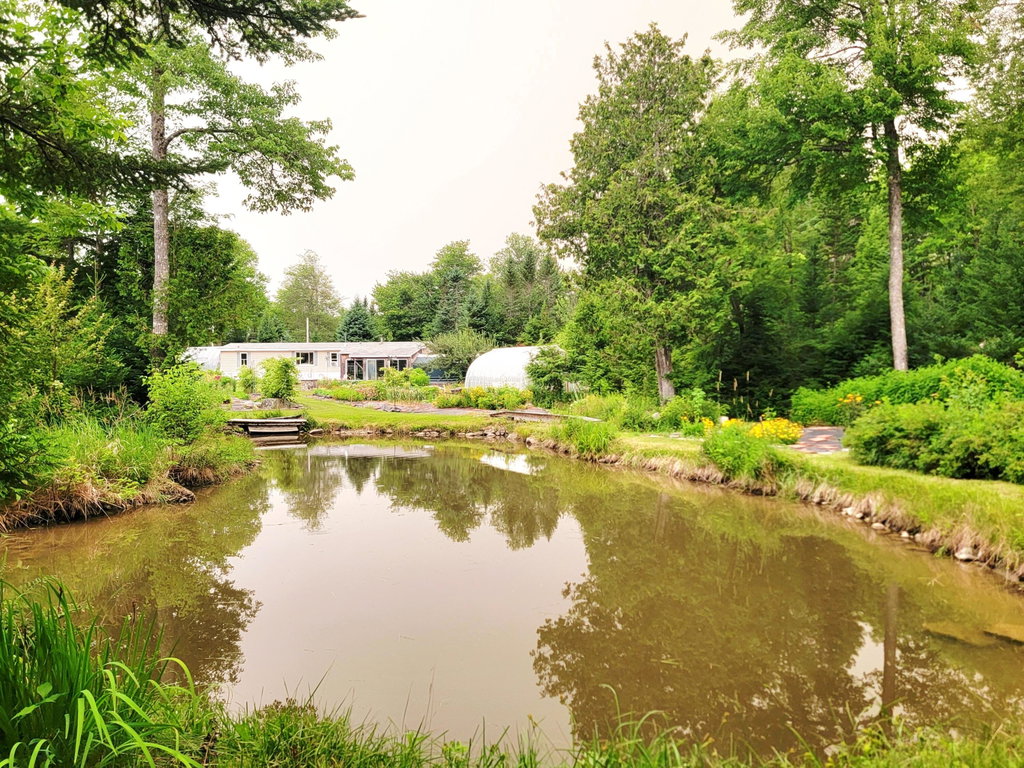 Farm Pond