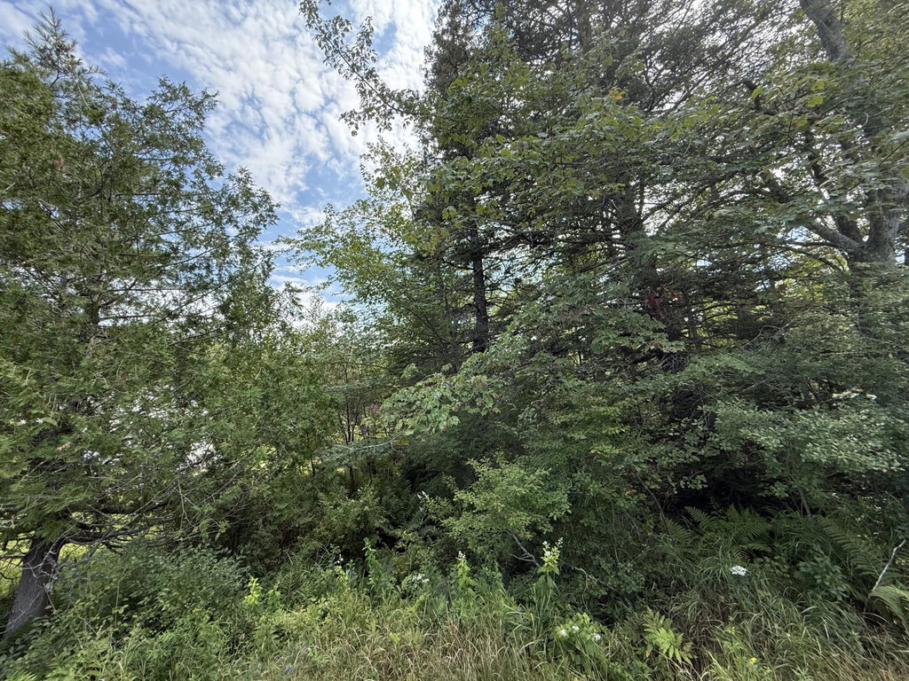 MAP 3 LOT 66 & 66-2