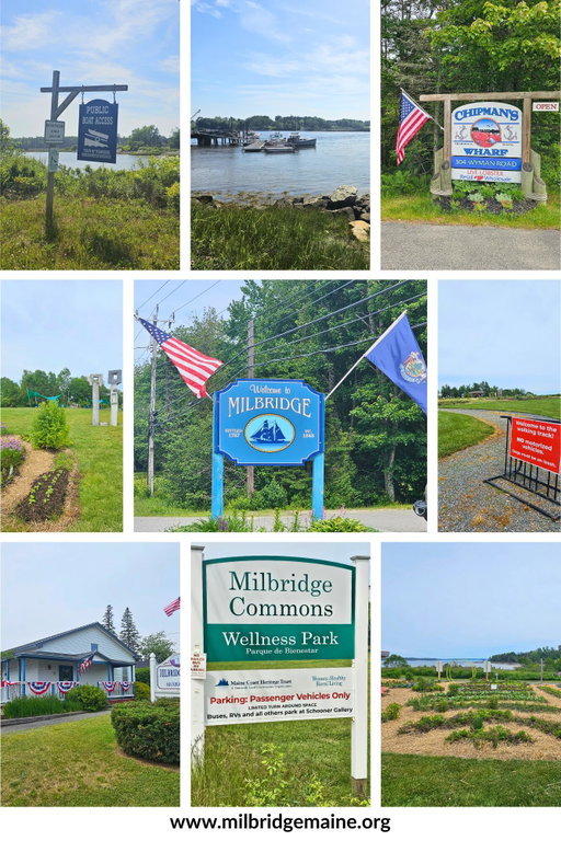 Milbridge Flyer (7-6-2026)