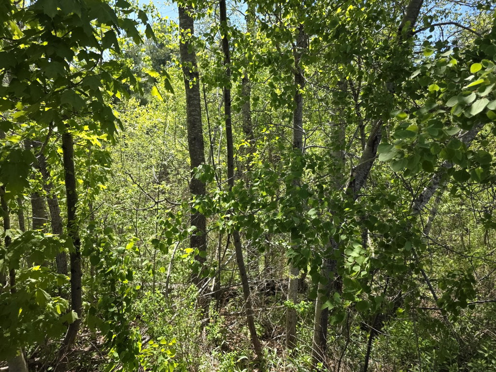 4 Goose River Estates Swanville