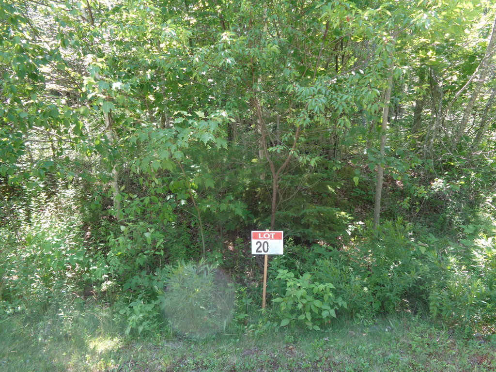 Lot20-20 Bailey Mountain Road Franklin
