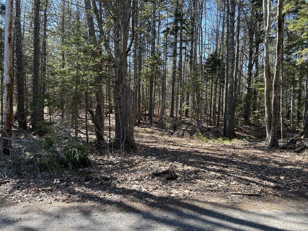 Lot #146 Laurel Shore Drive Harpswell
