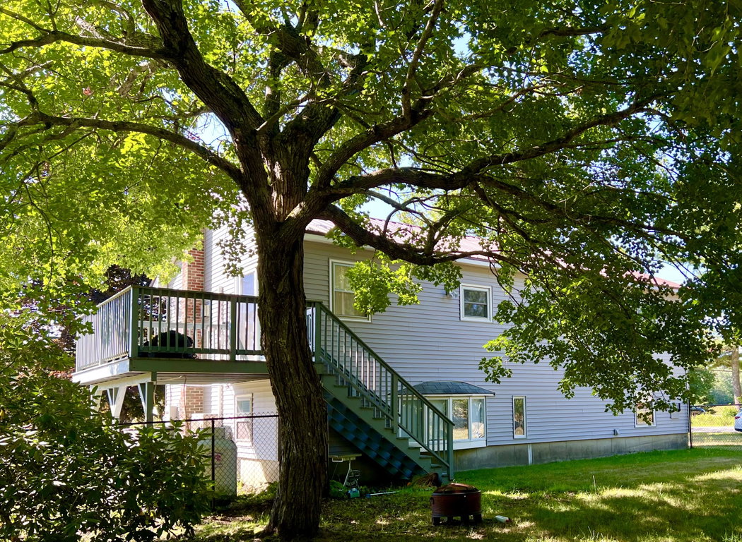 Exterior back