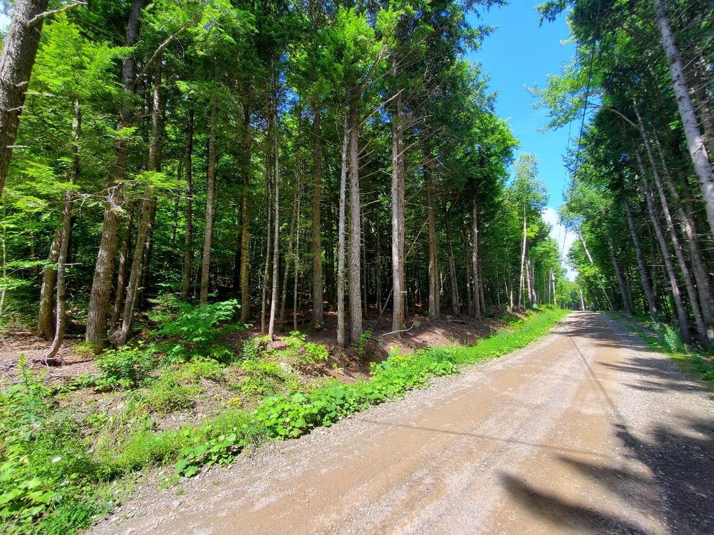 Map18Lot27 Sandy Beach Road Danforth
