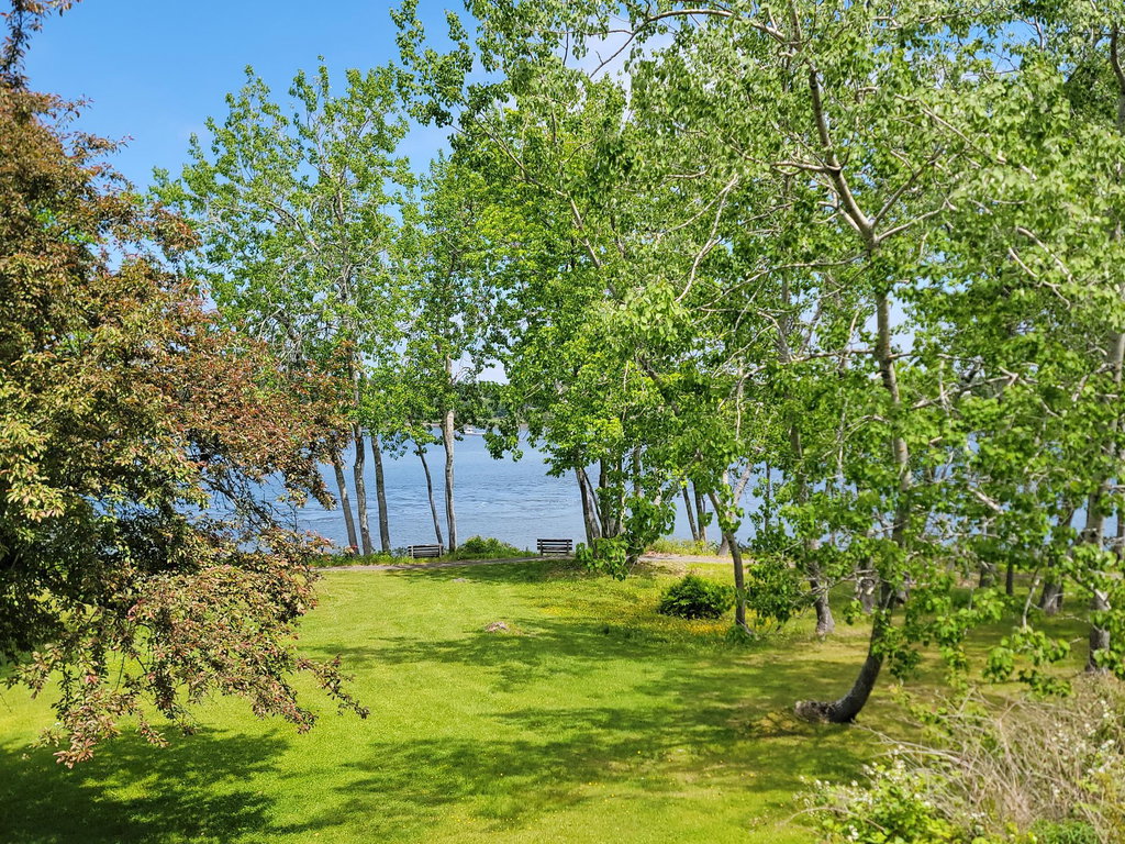 Views of Narraguagus River & Harbor