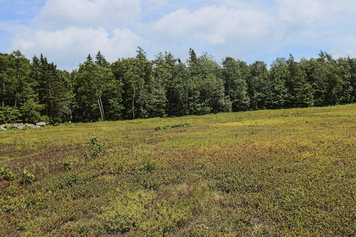 Lot 9