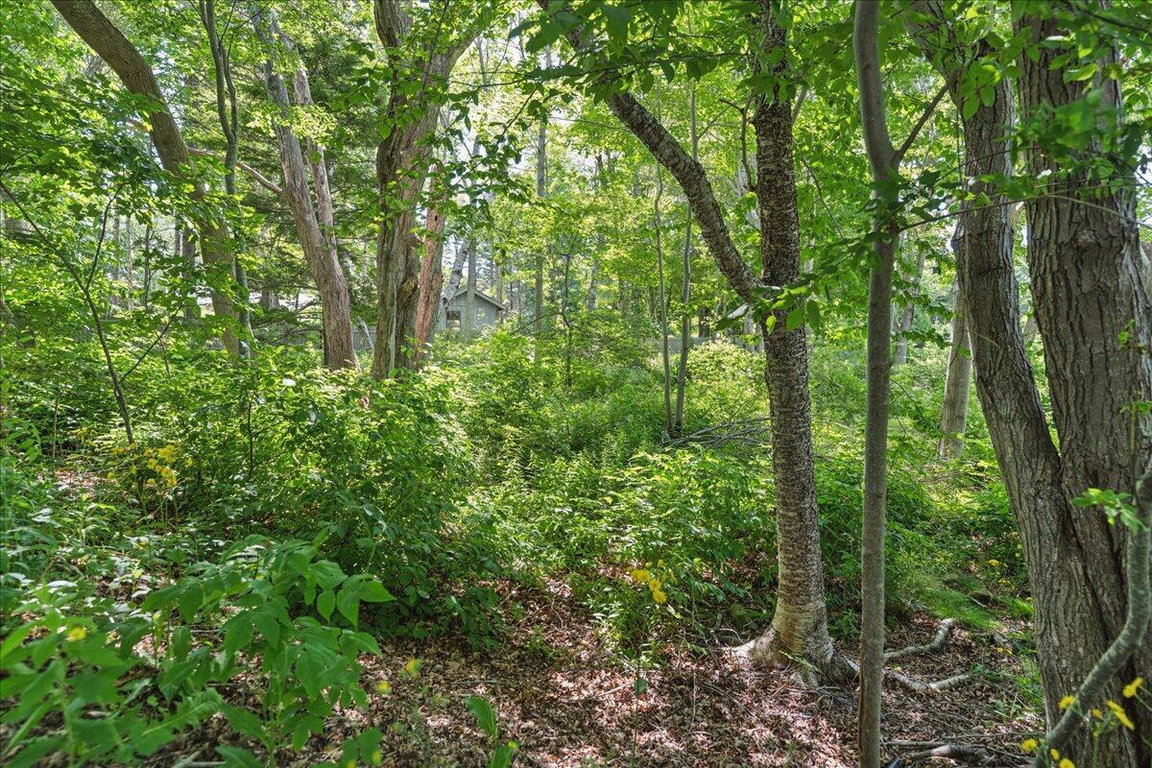 11-Land - Northeast Harbor-3