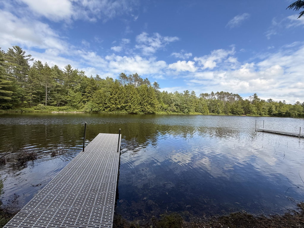View of pond from dock