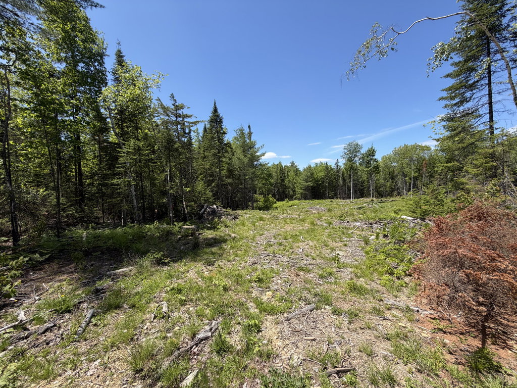 0 Merritt Drive Orono