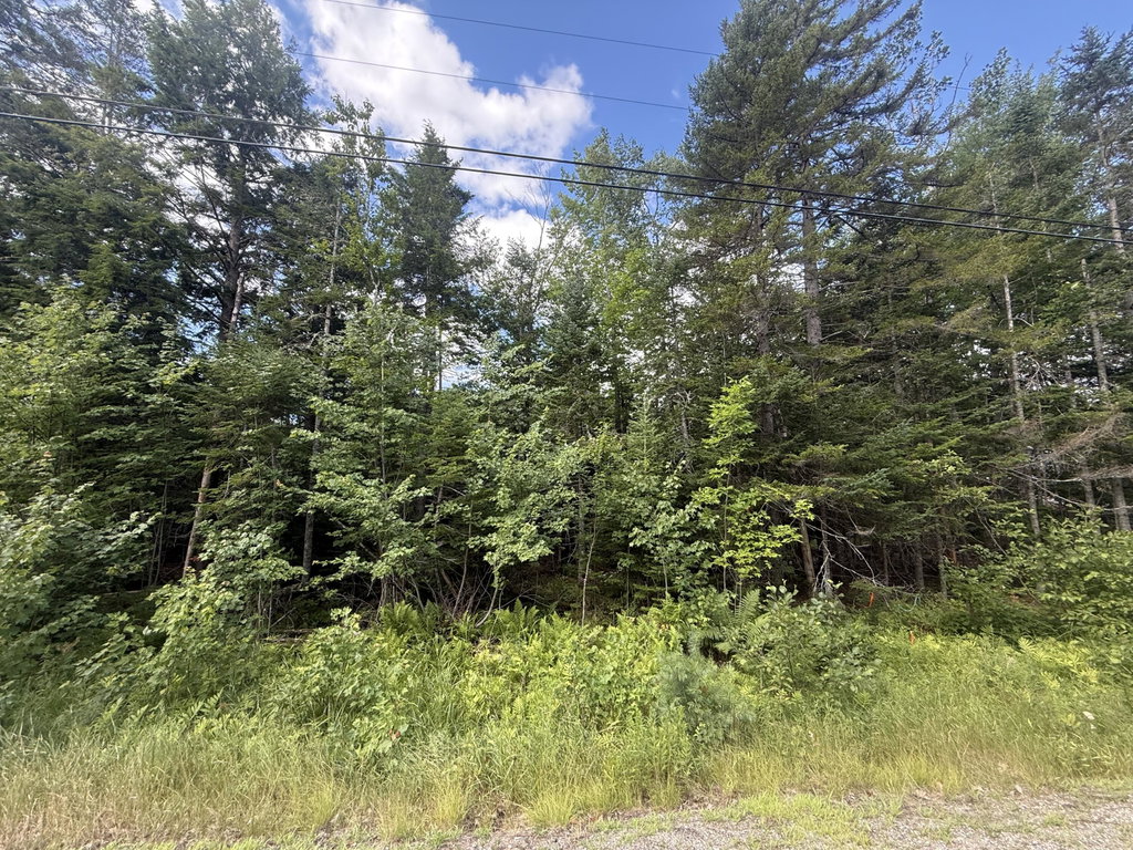 Lot #6 Russell Hill Road Bucksport