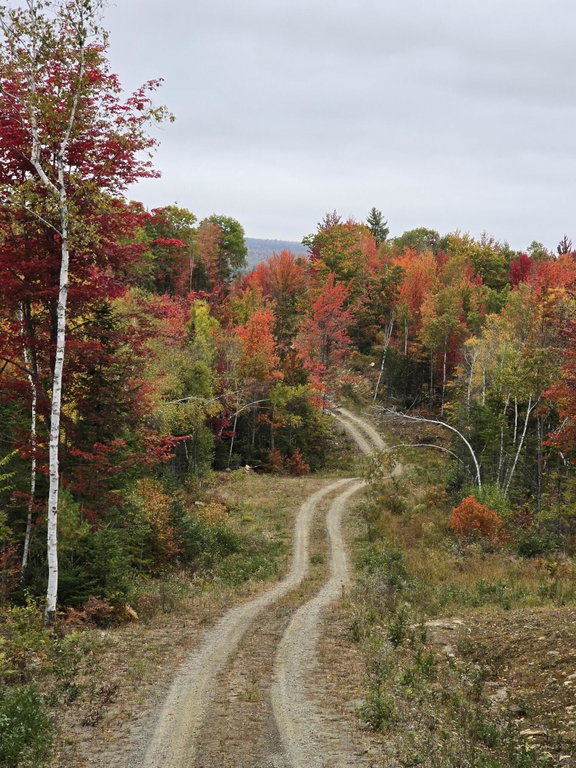 Lot #4 Woods Road Phillips