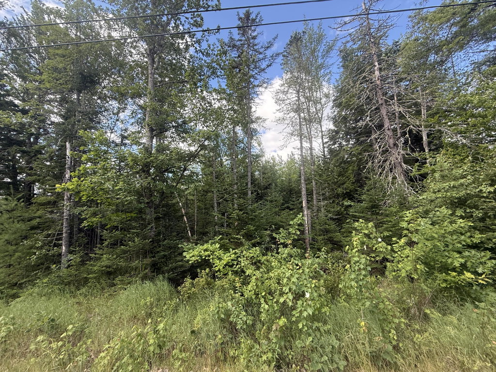 Lot #8 Russell Hill Road Bucksport