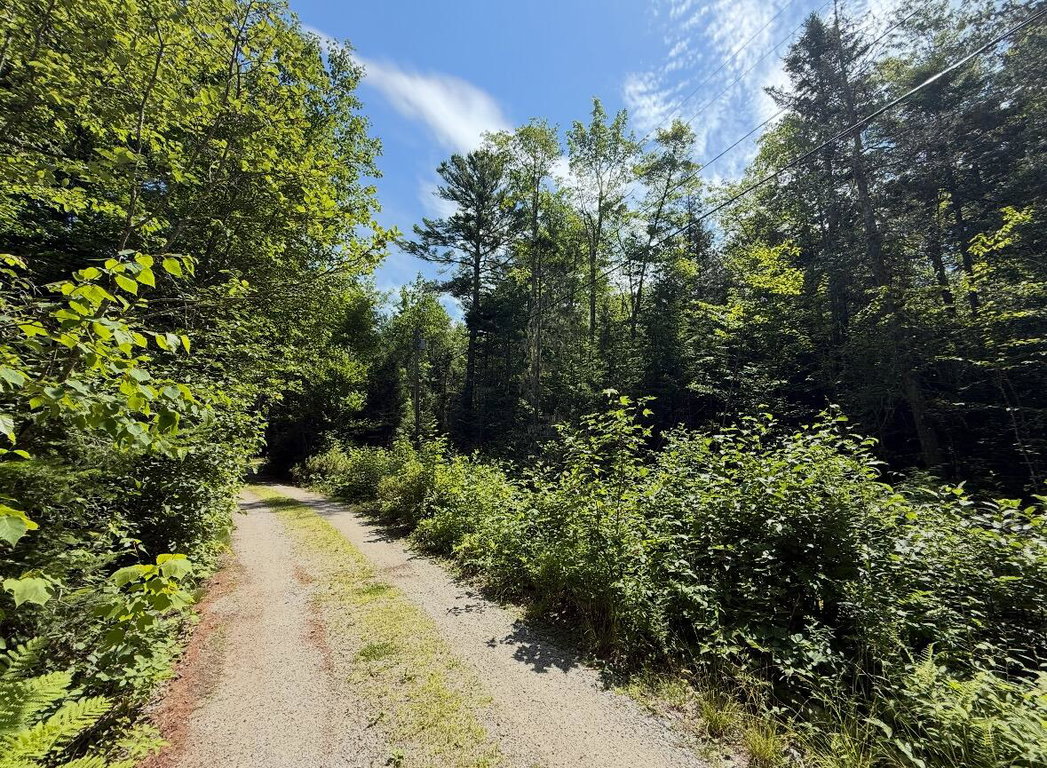 Lot 23 Webb Pond Rd
