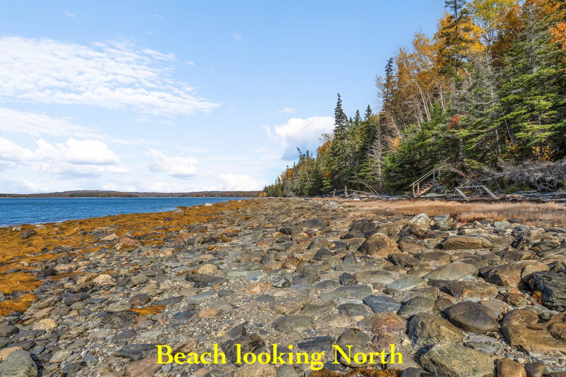 8-web-or-mls-11-colwell-ln