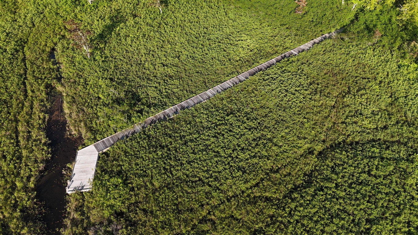 DJI_20250621065811_0012_D