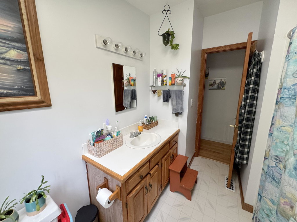 guest bath 2