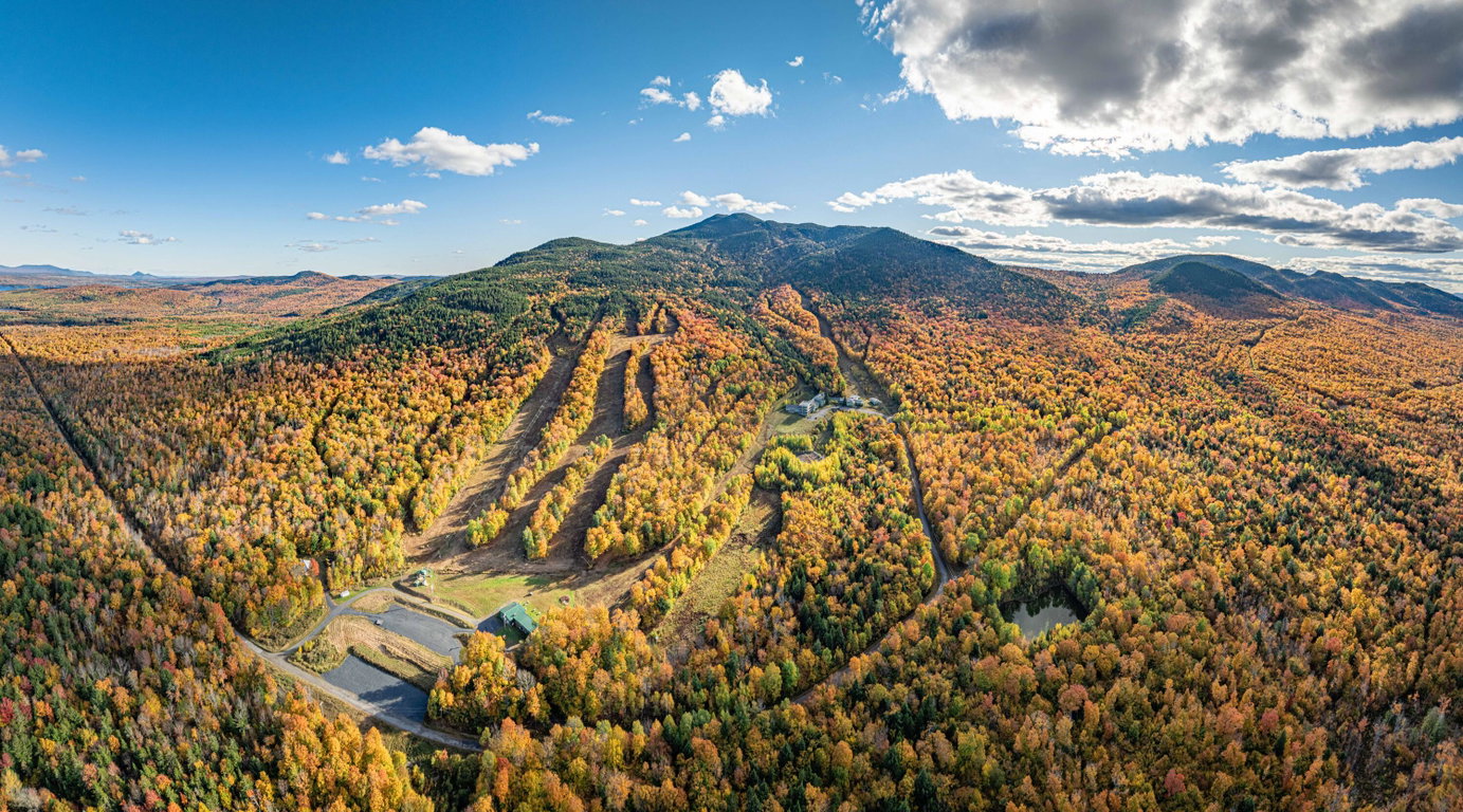 447 ski resort Road Big Moose Twp