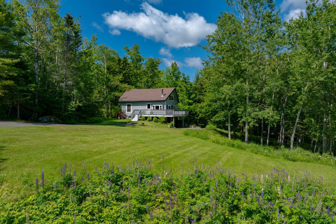 Copy of 41-26 Hummingbird Lane-DTP