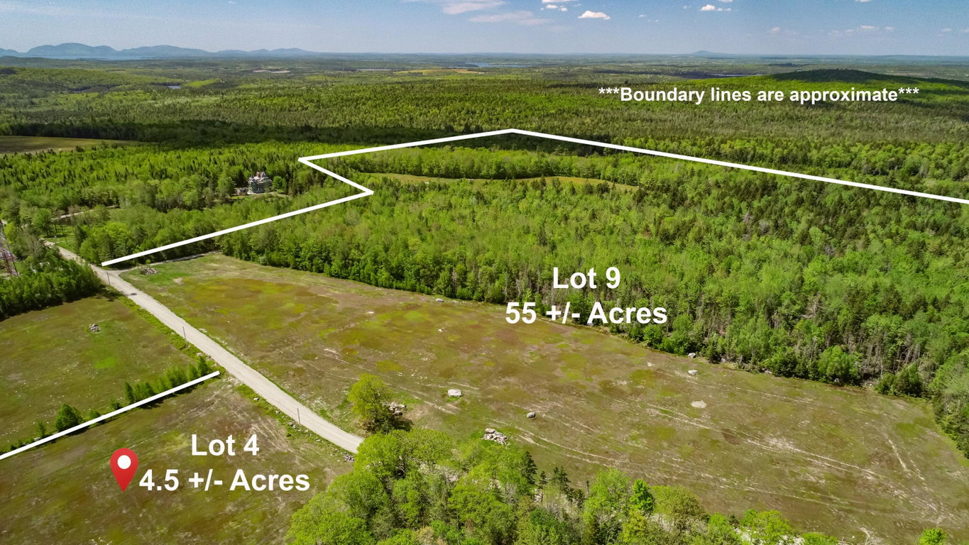 Lot 9