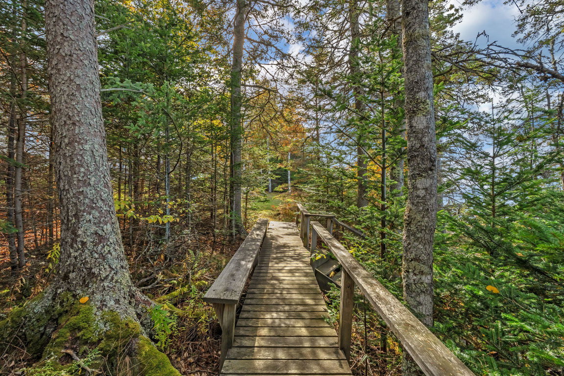 4-web-or-mls-11-colwell-ln