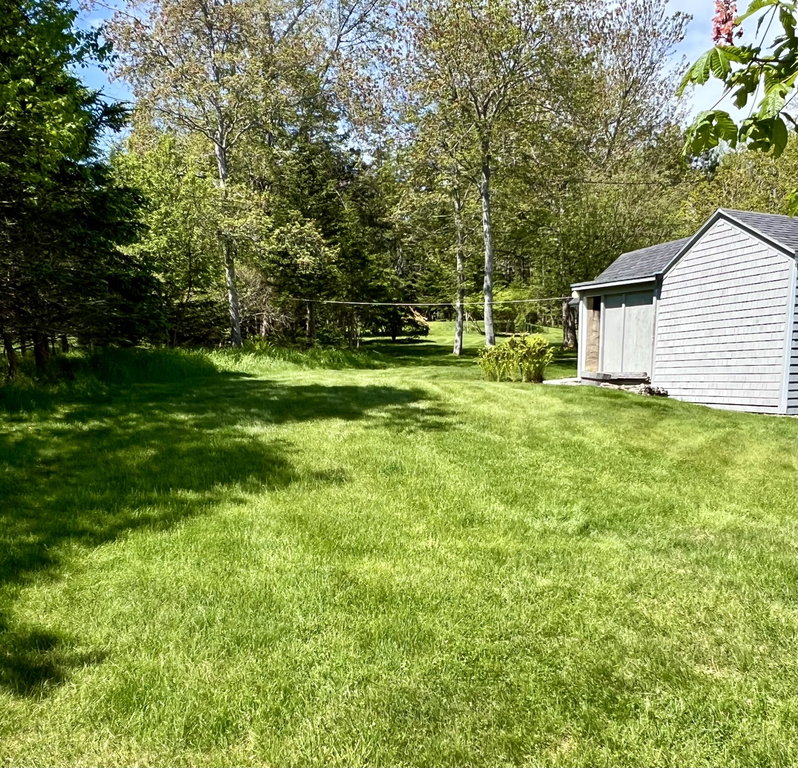 Yard