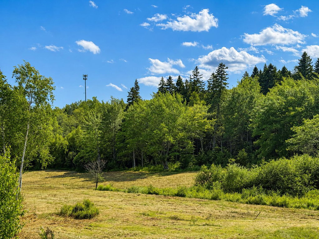 MAP9LOT1B Newman Street