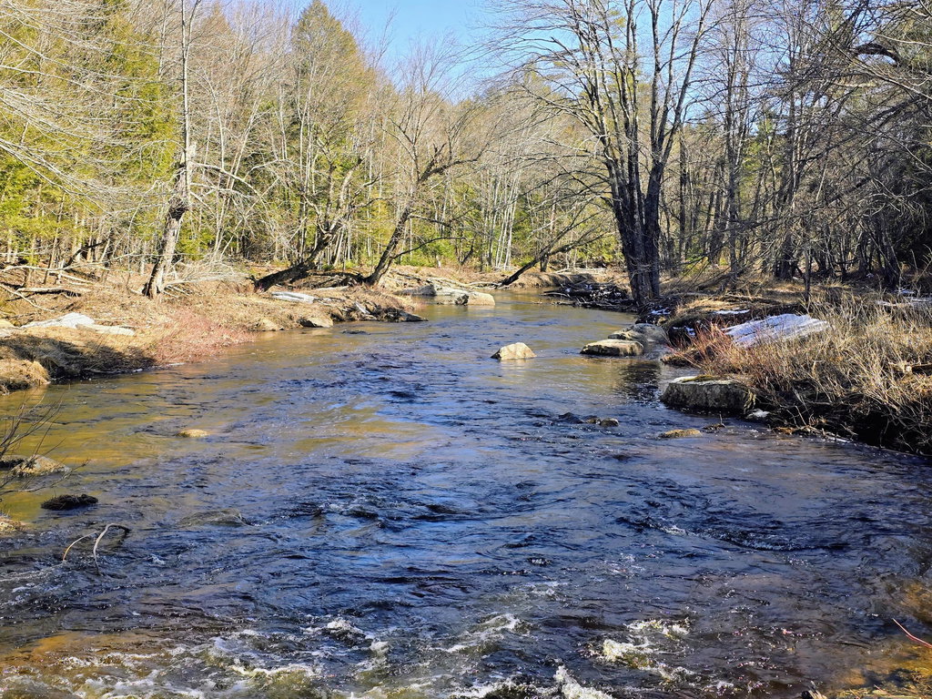 199 Morrill Street Buckfield