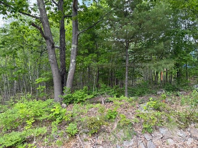 44 Whitefield Road Pittston