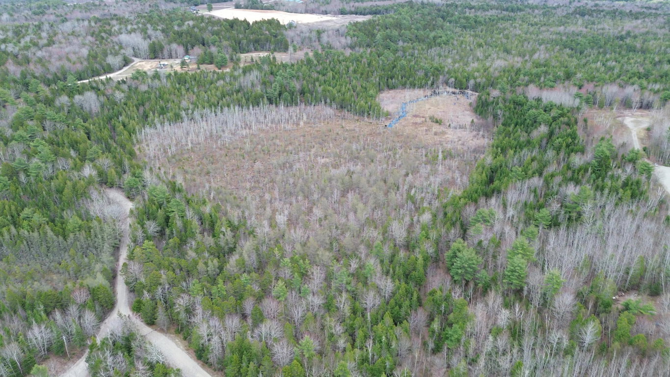 Aerial with wetlands