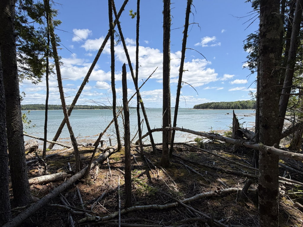 View of Herrick Bay